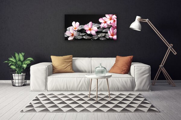 Obraz Canvas Kvet kamene rastlina 100x50 cm