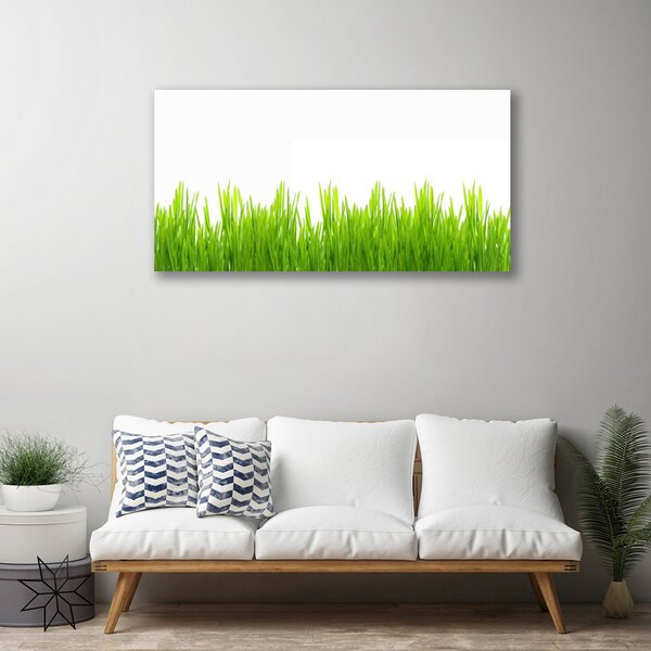 Obraz Canvas Tráva rastlina príroda 100x50 cm