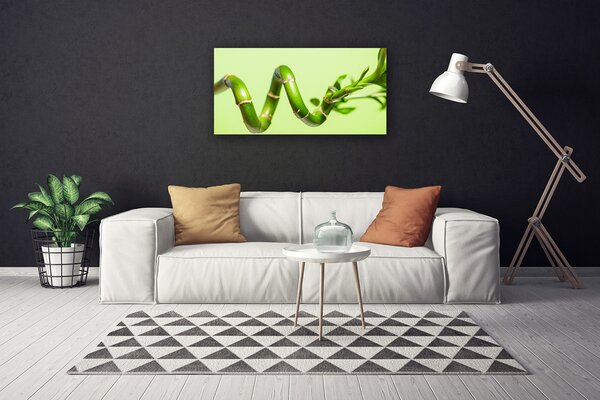 Obraz Canvas Bambus rastlina príroda 100x50 cm