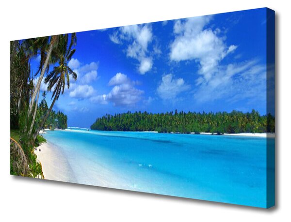 Obraz na plátne Pláž palmy more krajina 100x50 cm
