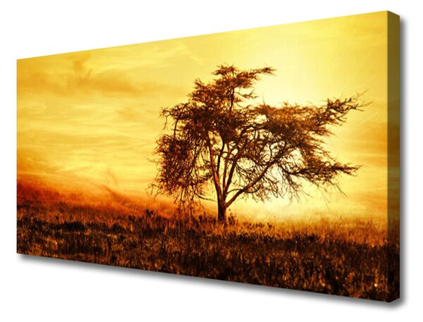 Obraz na plátne Strom príroda 100x50 cm