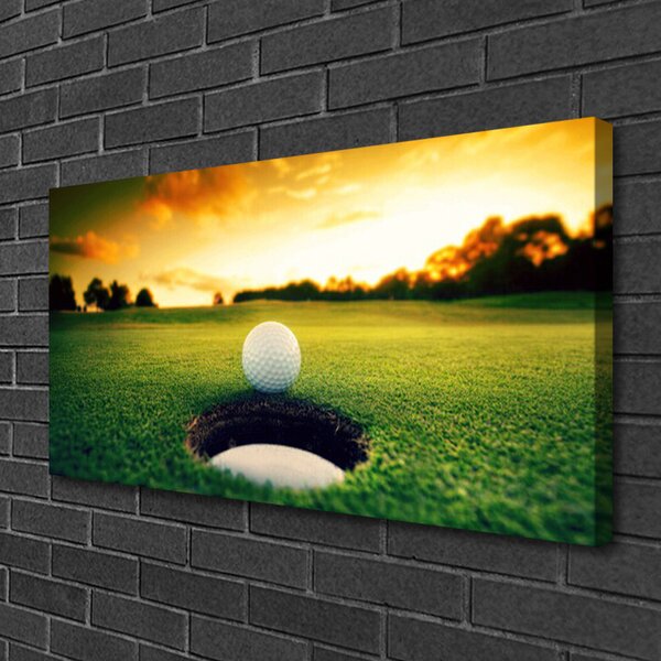 Obraz na plátne Golfový loptička tráva príroda 100x50 cm