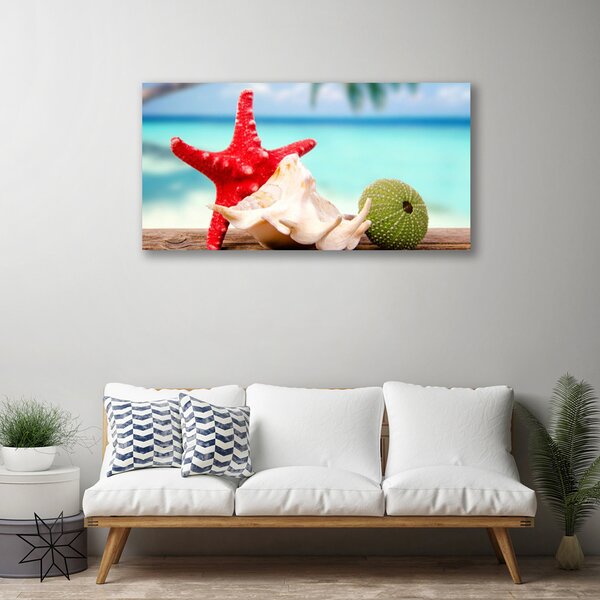 Obraz na plátne Mušle mäkkýš umenie 100x50 cm