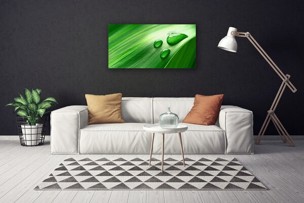 Obraz na plátne List voda kvapka 100x50 cm