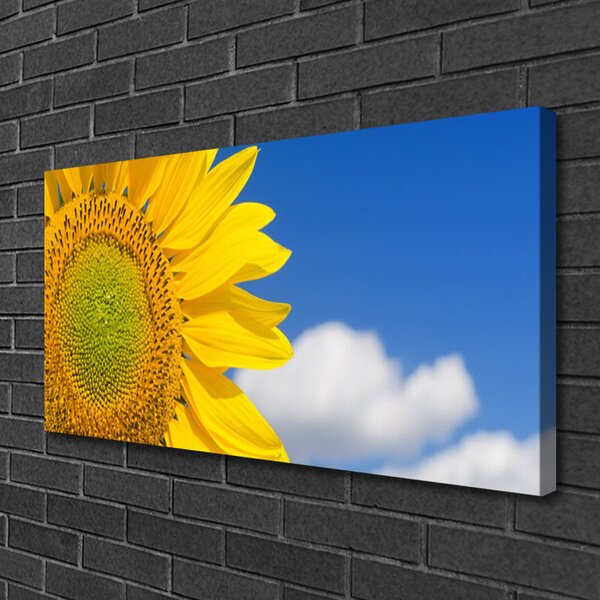Obraz na plátne Slnečnica mraky 100x50 cm