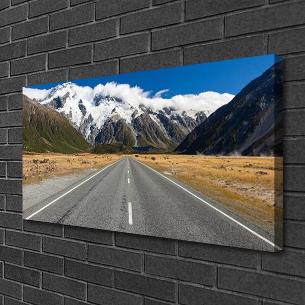 Obraz na plátne Cesta hory sneh krajina 100x50 cm