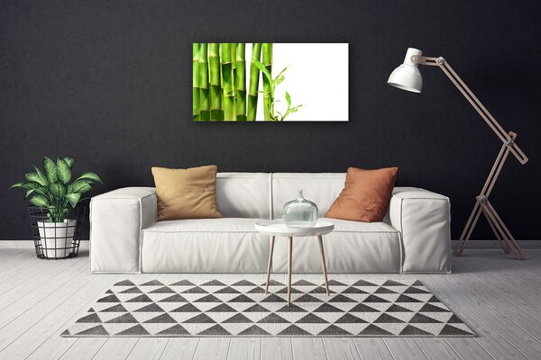 Obraz na plátne Bambus rastlina 100x50 cm