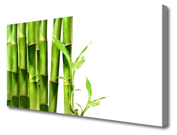 Obraz na plátne Bambus rastlina 125x50 cm