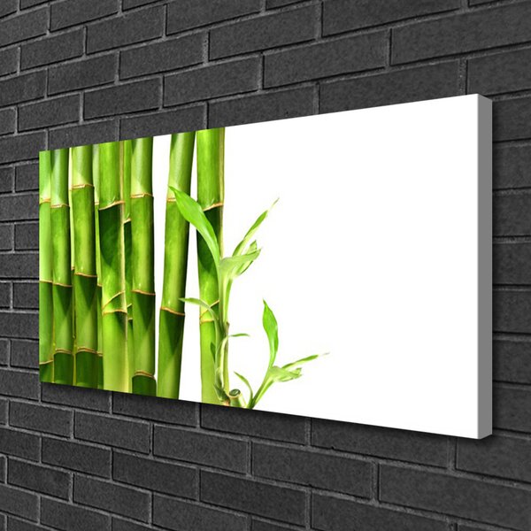 Obraz na plátne Bambus rastlina 100x50 cm