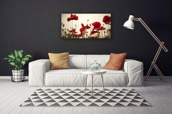 Obraz na plátne Maky 100x50 cm
