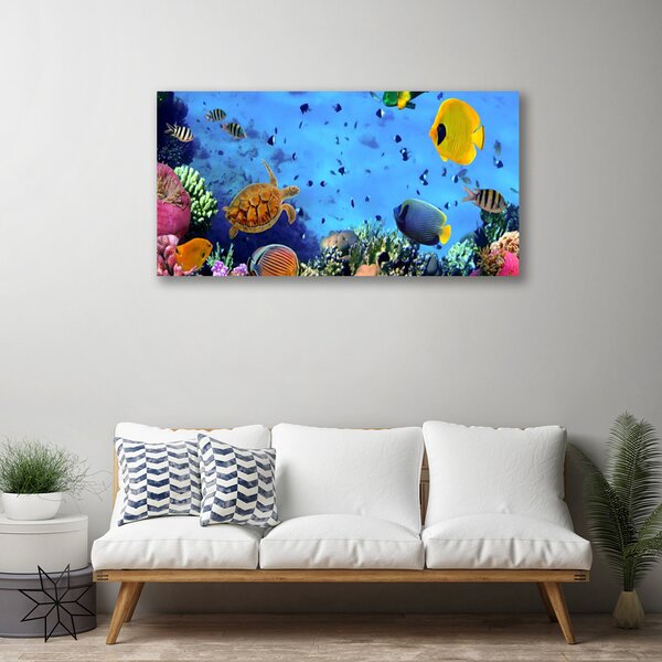 Obraz na plátne Koralový útes ryba príroda 100x50 cm
