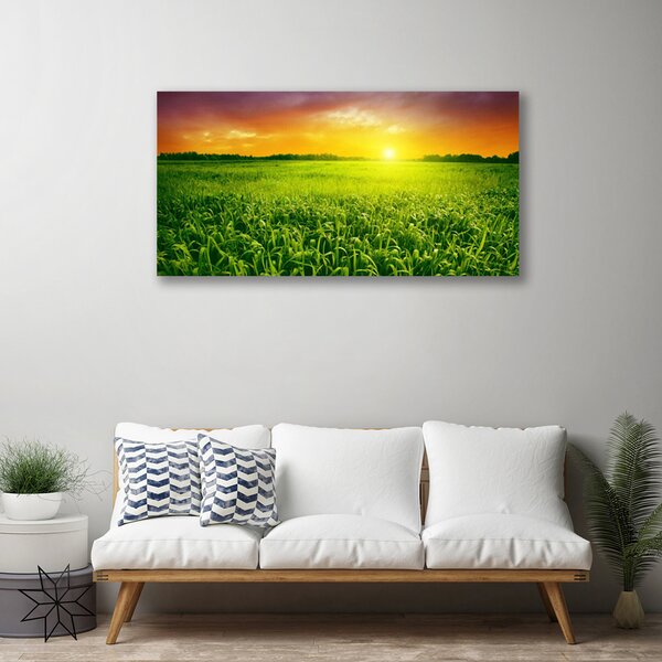 Obraz na plátne Obilie pole východ slnka 100x50 cm