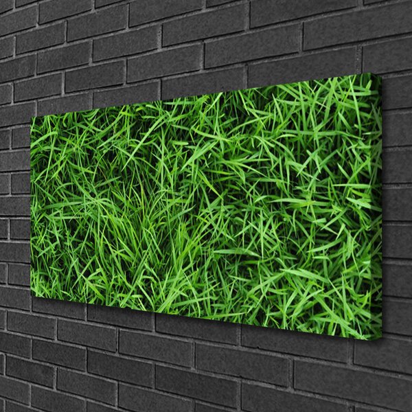Obraz na plátne Tráva trávnik 100x50 cm