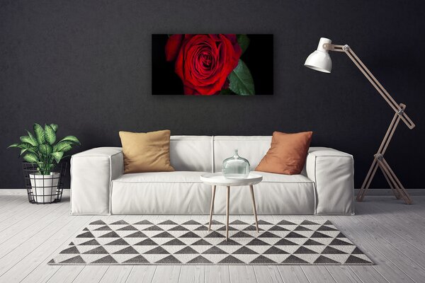 Obraz na plátne Ruže 100x50 cm