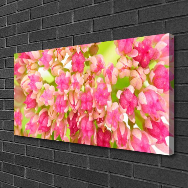 Obraz na plátne Kvet lotosu 100x50 cm