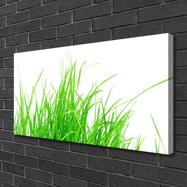 Obraz na plátne Tráva 100x50 cm