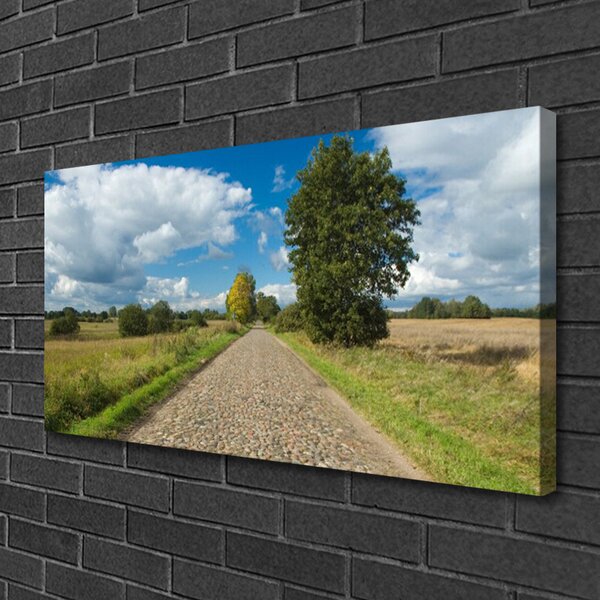 Obraz na plátne Dedina cesta dlažba krajina 100x50 cm