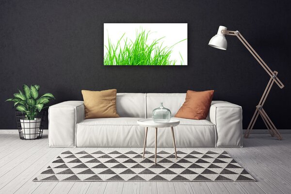 Obraz na plátne Tráva 100x50 cm