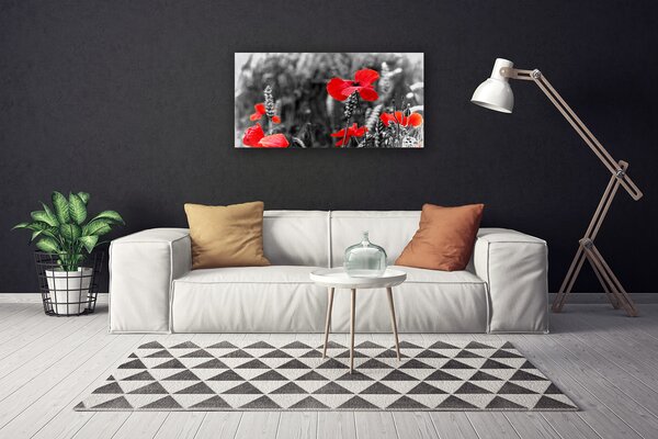 Obraz na plátne Maky 100x50 cm