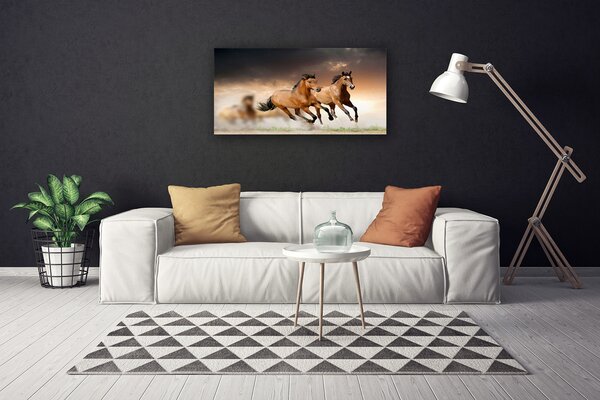 Obraz na plátne Kone zvieratá 100x50 cm