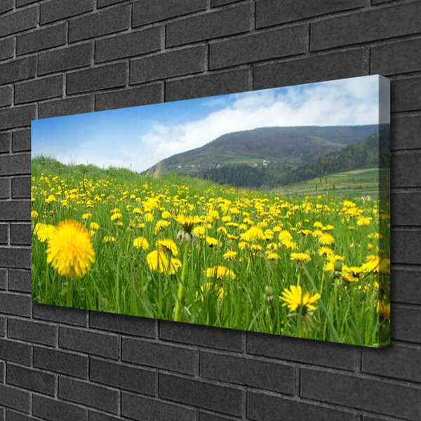 Obraz na plátne Púpava príroda 100x50 cm