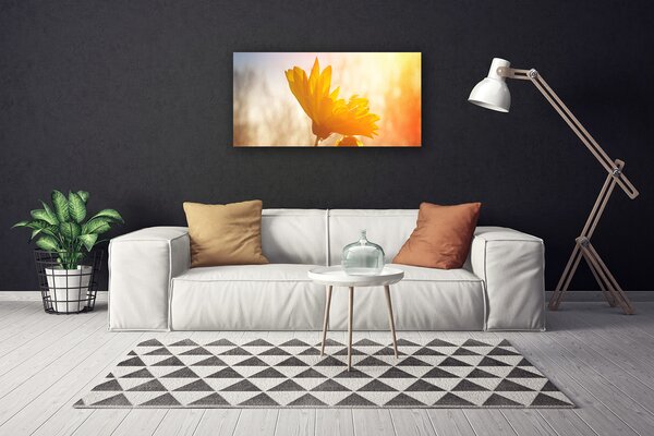 Obraz na plátne Slnečnica 100x50 cm