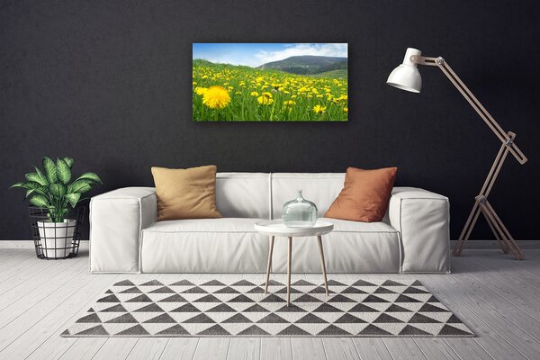 Obraz na plátne Púpava príroda 100x50 cm