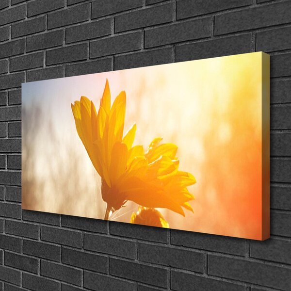 Obraz na plátne Slnečnica 100x50 cm