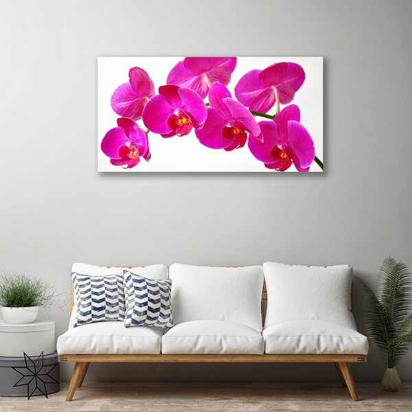 Obraz na plátne Kvety rastlina 100x50 cm