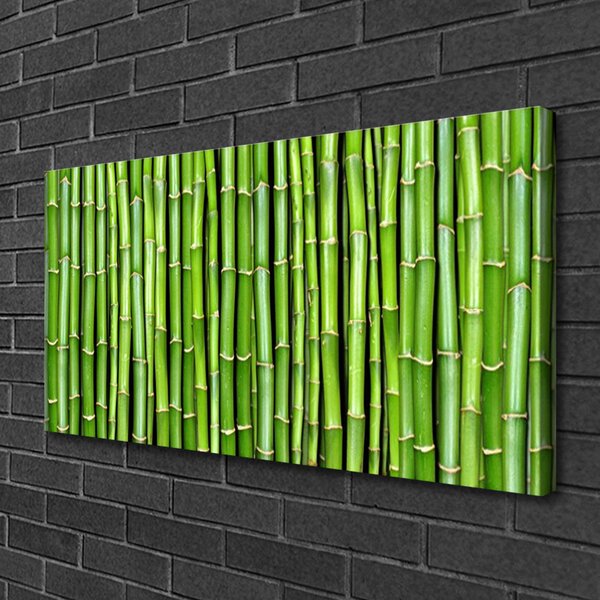 Obraz na plátne Bambus kvet rastlina 100x50 cm