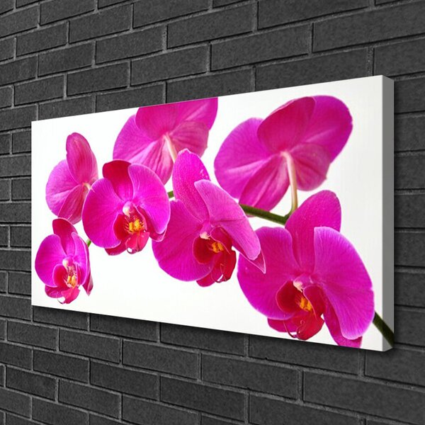 Obraz na plátne Kvety rastlina 100x50 cm
