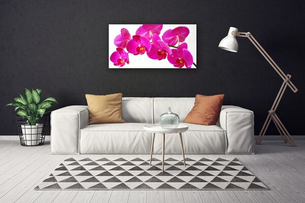 Obraz na plátne Kvety rastlina 100x50 cm