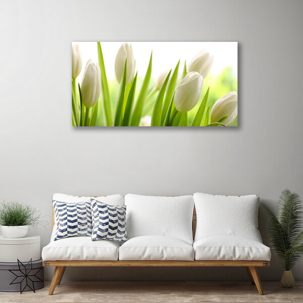 Obraz na plátne Tulipány kvety 100x50 cm
