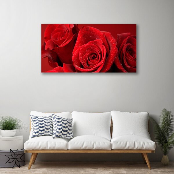 Obraz na plátne Ruže kvety 100x50 cm