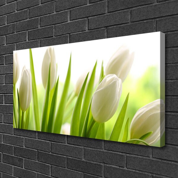 Obraz na plátne Tulipány kvety 100x50 cm