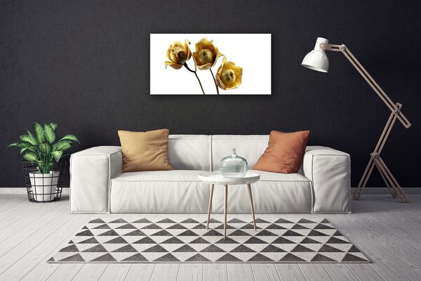 Obraz na plátne Kvety rastlina 100x50 cm