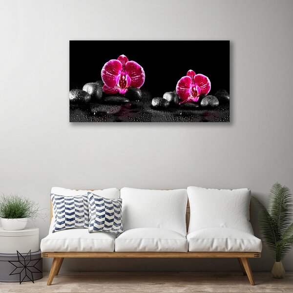 Obraz na plátne Kvet kamene rastlina 100x50 cm