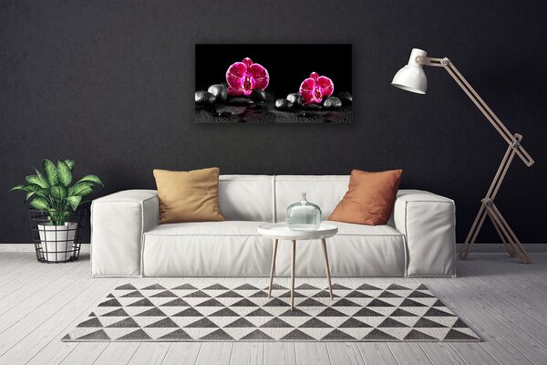 Obraz na plátne Kvet kamene rastlina 100x50 cm