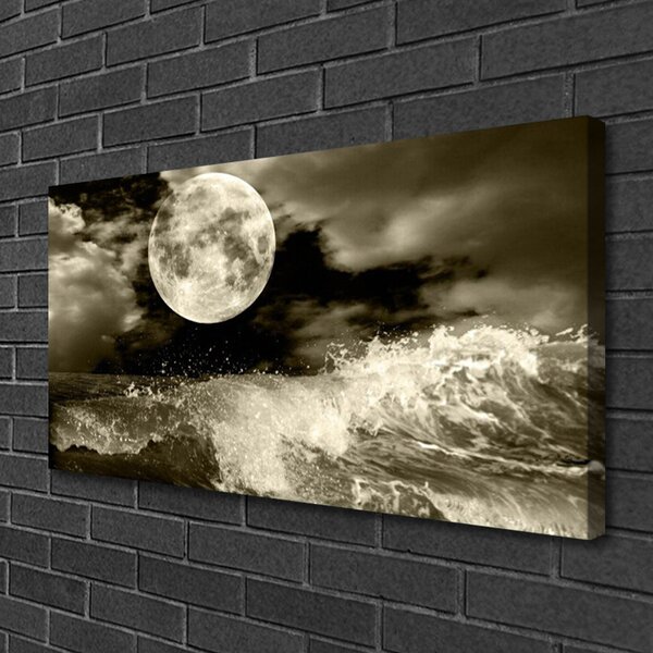 Obraz na plátne Noc mesiac príroda 100x50 cm