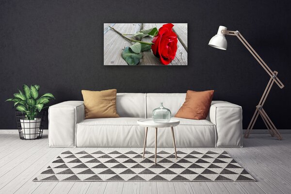 Obraz na plátne Ruže kvety 100x50 cm