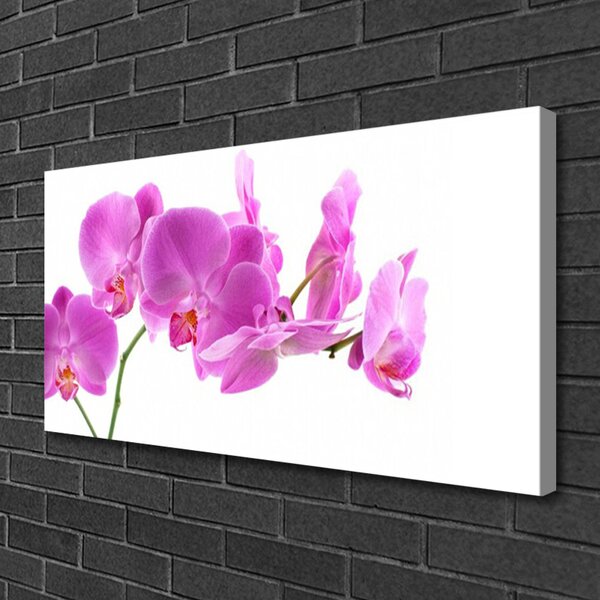 Obraz na plátne Kvety rastlina príroda 100x50 cm