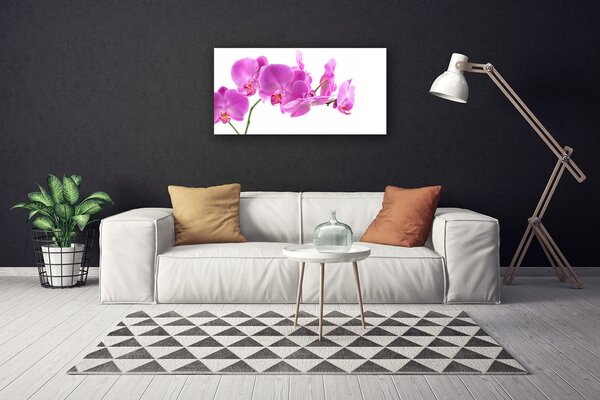 Obraz na plátne Kvety rastlina príroda 100x50 cm