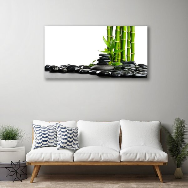 Obraz na plátne Bambus kamene umenie 100x50 cm