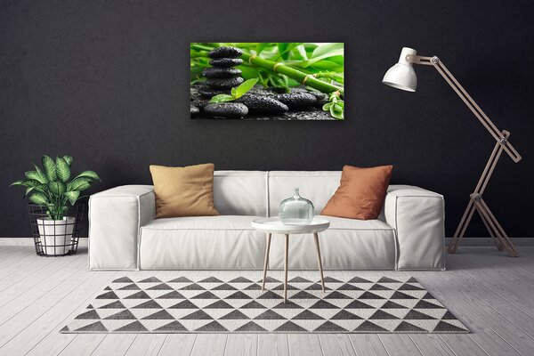 Obraz na plátne Bambus kamene rastlina 100x50 cm