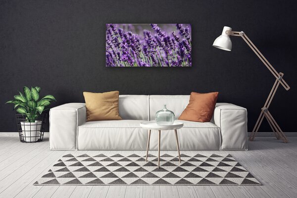 Obraz na plátne Kvety rastlina príroda 100x50 cm