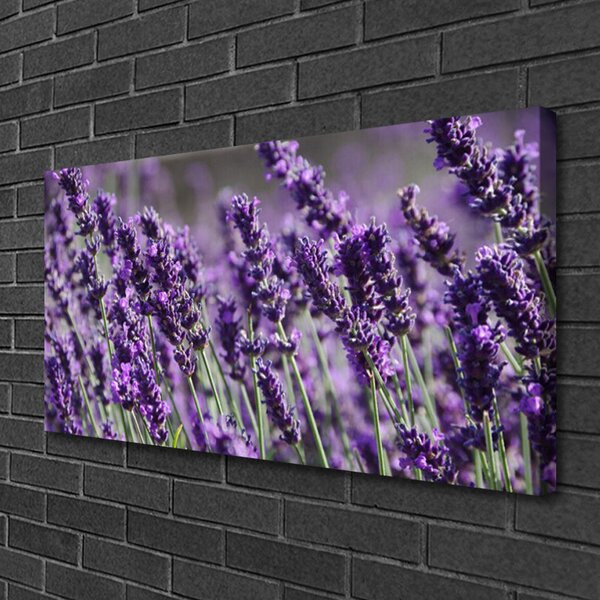 Obraz na plátne Kvety rastlina príroda 100x50 cm