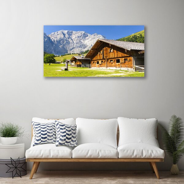 Obraz na plátne Dom hora krajina 100x50 cm