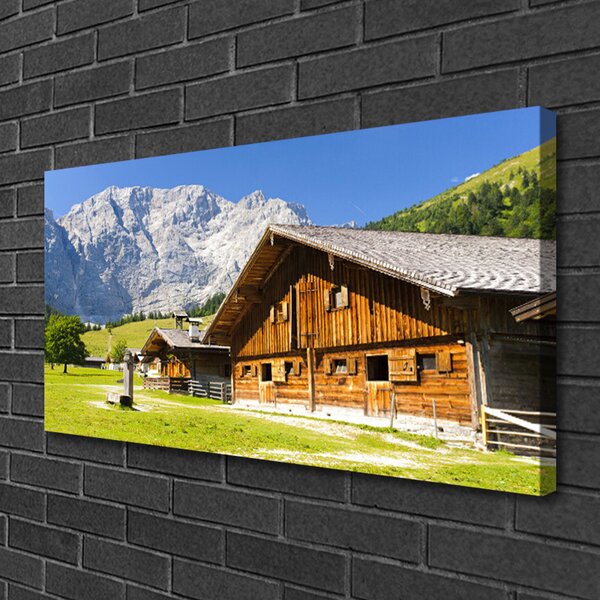 Obraz na plátne Dom hora krajina 100x50 cm