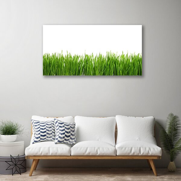 Obraz na plátne Tráva príroda rastlina 100x50 cm