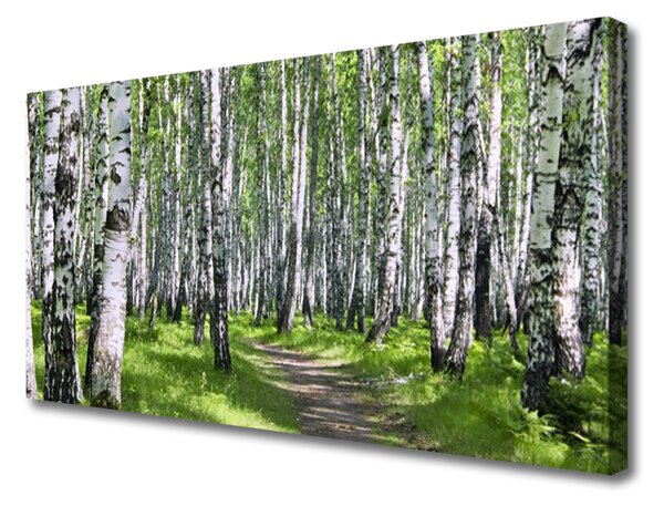 Obraz na plátne Les chodník príroda 125x50 cm